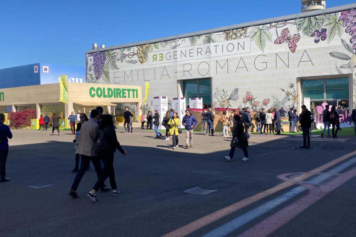 In Emilia Romagna le cooperative vinicole con pi&ugrave; fatturato Le cantine del Veneto le pi&ugrave; competitive. In Toscana quelle che guadagnano di pi&ugrave;