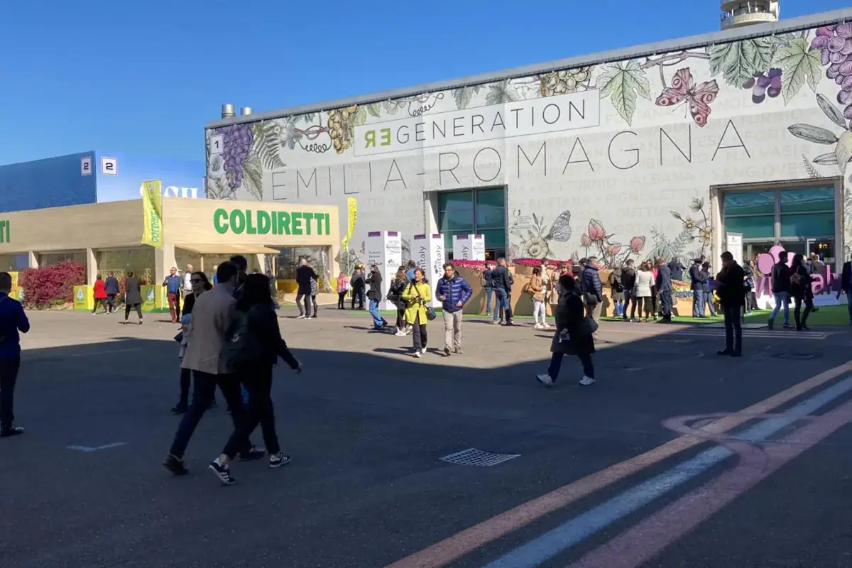 In Emilia Romagna le cooperative vinicole con pi&ugrave; fatturato Le cantine del Veneto le pi&ugrave; competitive. In Toscana quelle che guadagnano di pi&ugrave;