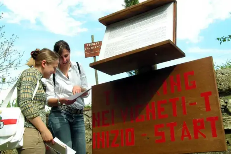 l'enoturismo cresce grazie alle donne Con pi&ugrave; donne in cantina l'enoturismo si fa pi&ugrave; verde