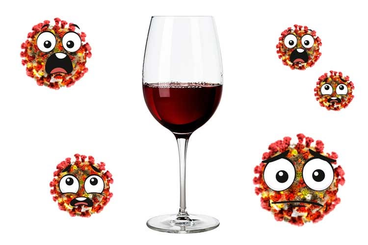 Un bicchiere di vino pulisce la faringe, dove spesso si annidano i virus - Il vino ai tempi del coronavirus Un bicchiere igienizza la gola