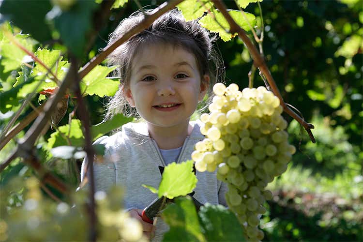 Vino e beneficenza da Le Manzane Vendemmia solidale con Giusy Versace