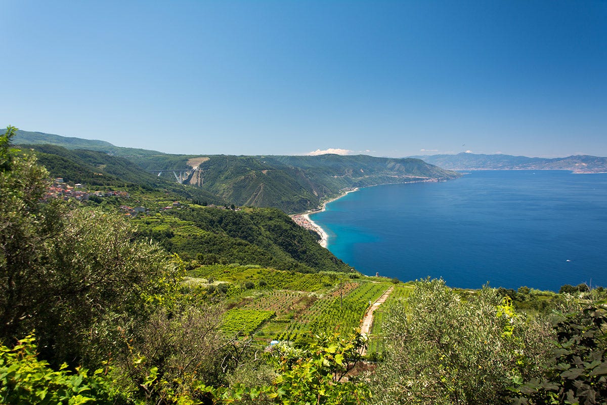 Calabria, terra di antichi vitigni e grandi vini di qualità