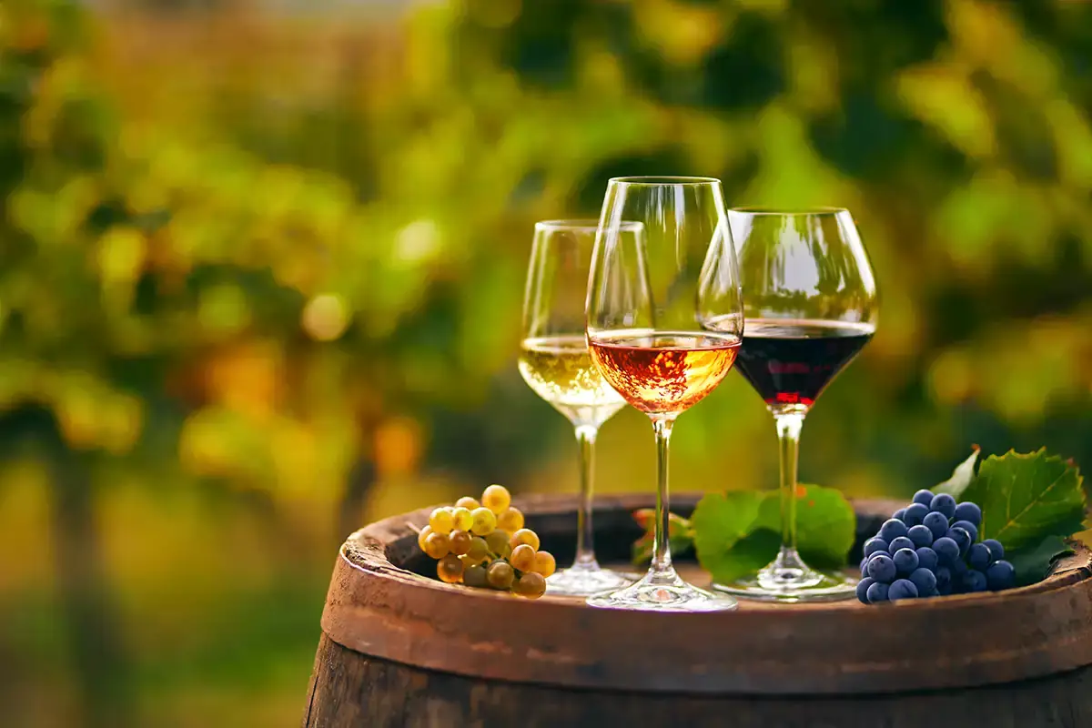 Il vino pioniere dell'innovazione legata all'informazione al consumatore U-label, la prima piattaforma europea che racconta il vino