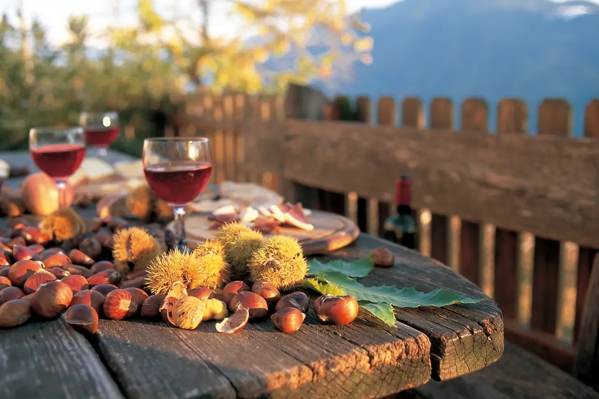 Vino e castagne&nbsp; Autunno, tutti in vigna: apre Rebe, il nuovo sentiero del vino tra Bolzano e il Renon