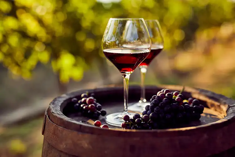 Vivere i territori del vino non pu&ograve; certamente essere ricondotto a un vivere nocivo per la salute pubblica Vino, dopo la vittoria contro il cancro si riparte con eventi e comunicazione ad hoc