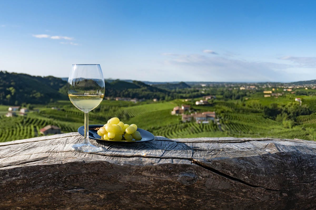 Arriva la prima edizione di Wine Destinations Italia Dal Piemonte alla Sicilia, i luoghi del vino insieme a Livorno