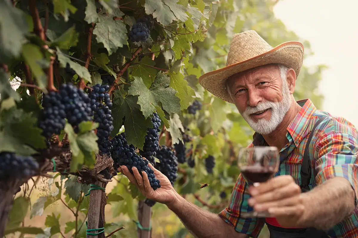 Oltre le cantine, la new economy del vino d&agrave; lavoro a 1,3 milioni di persone Il business del vino si fa largo fuori dalle cantine e d&agrave; lavoro a 1,3 milioni di persone