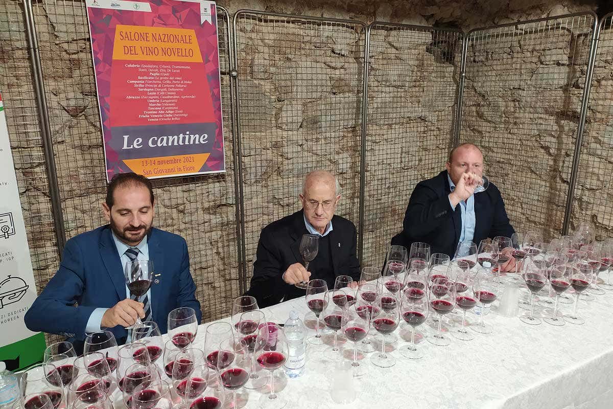 Il miglior vino novello d'Italia? Questione di assaggi Il miglior vino novello d'Italia? Non uno, ma due ed entrambi bio Il miglior vino novello d'Italia? Questione di assaggi Il miglior vino novello d'Italia? Non uno, ma due ed entrambi bio