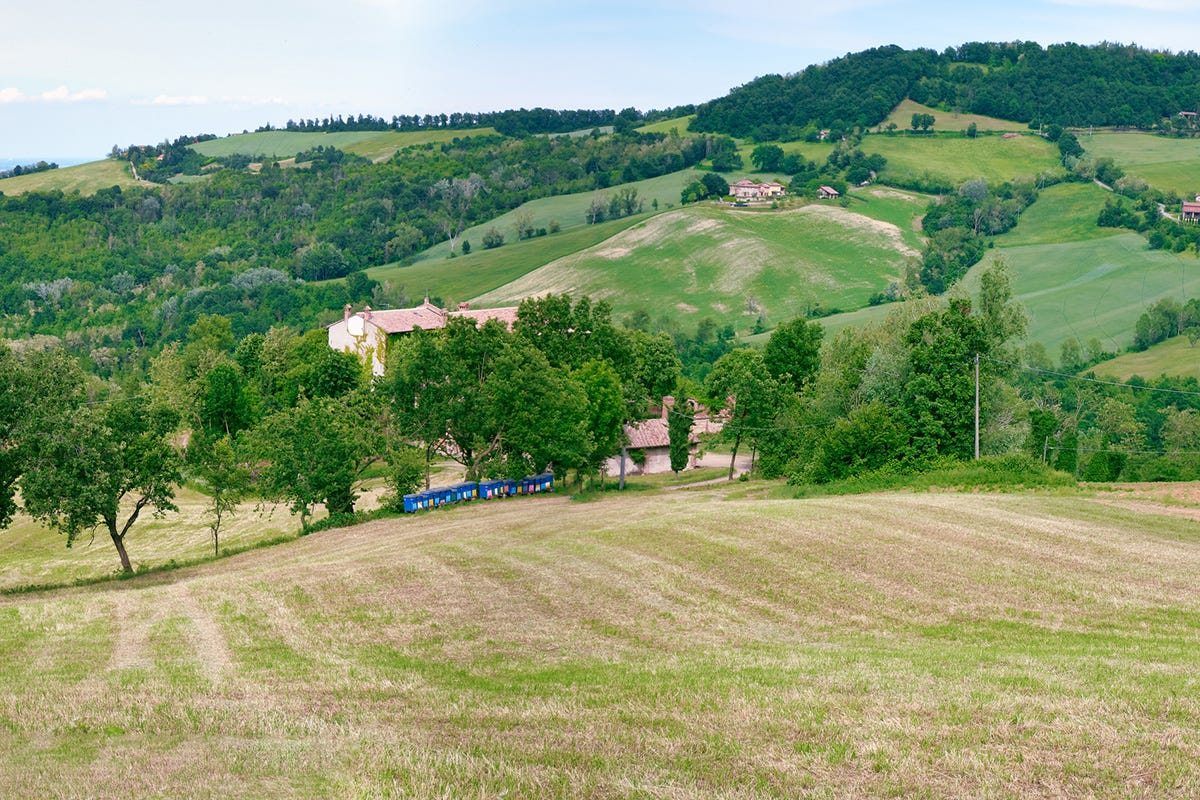 Panorama dell'area collinare dell'Oltrepo Pavese Enoturismo lombardo, bando per le aziende agricole. Ecco come ottenerlo
