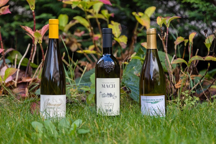 I vini che si sono classificati ai primi tre posti (Riesling, a Naturno scelti i migliori Vince la Fondazione Edmund Mach)
