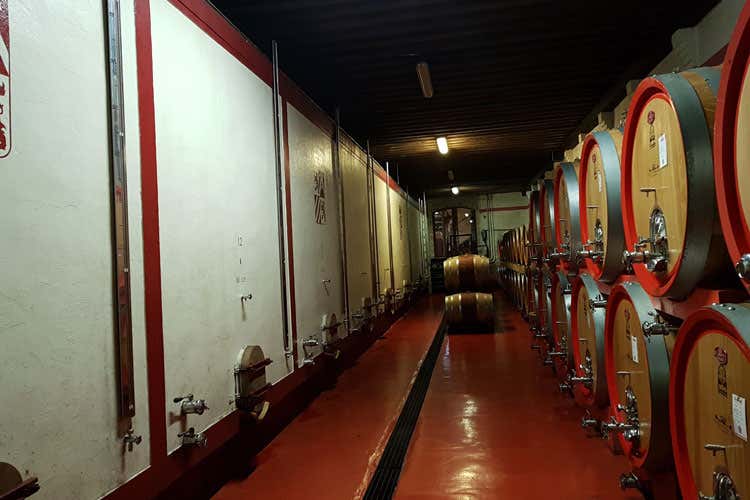 Le botti in cui riposa il vino Villa Giustinian (Villa Giustinian, si svela il vino del Castello di Roncade)