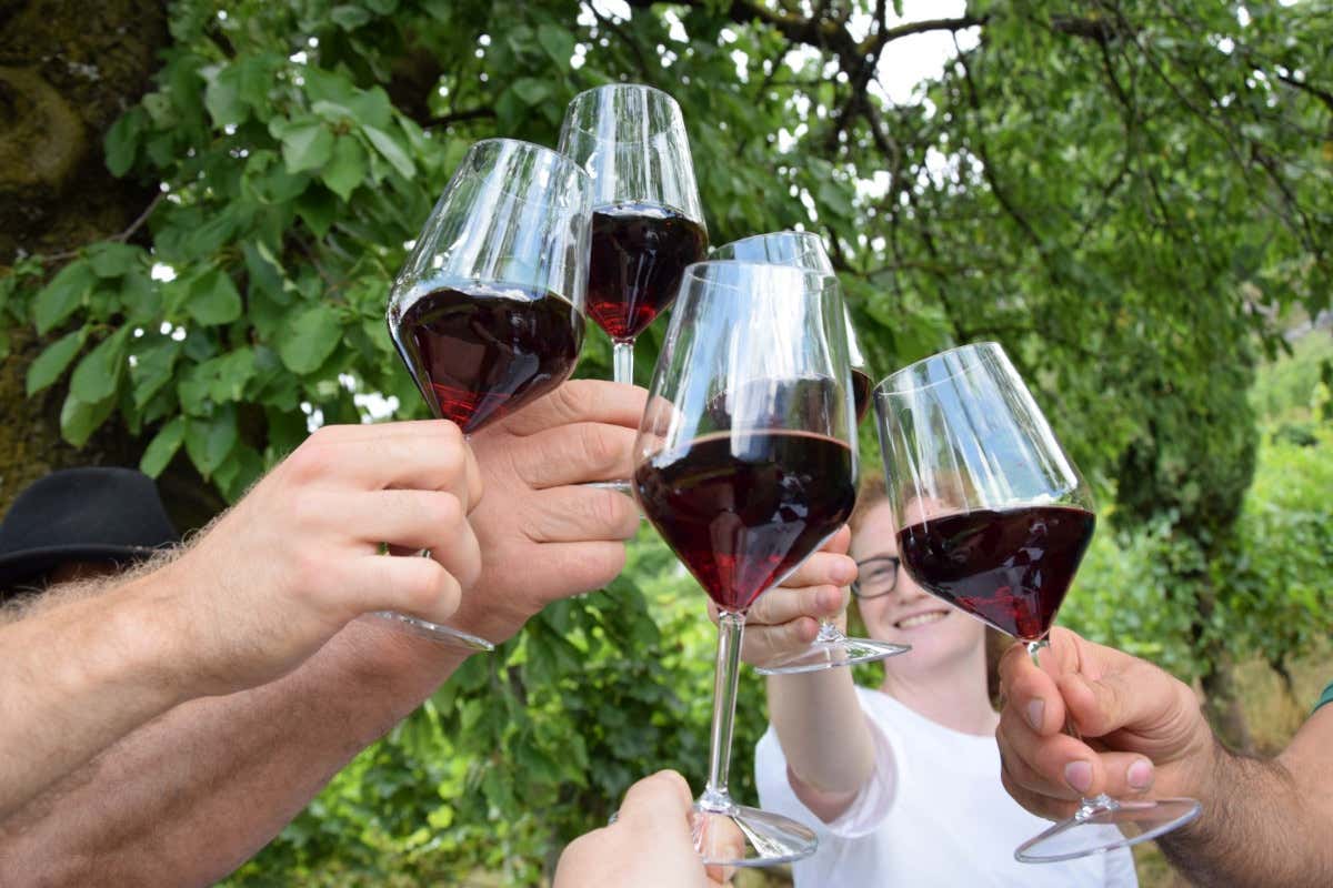 La Strada del Vino e dei Sapori del Trentino sbarca in Sicilia