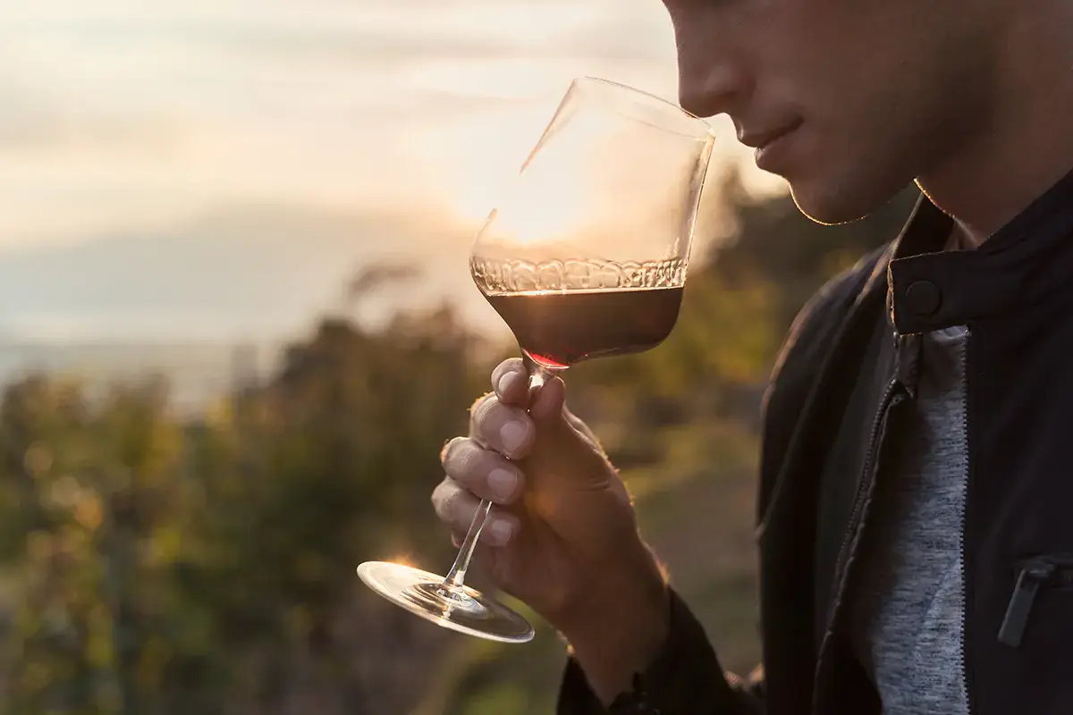 Dall'analisi al racconto emozionale del vino, ecco l'evoluzione proposta da Sommelier Coach Termini tecnici e complicati addio. Il vino si degusta con la scheda emozionale di Sommelier Coach