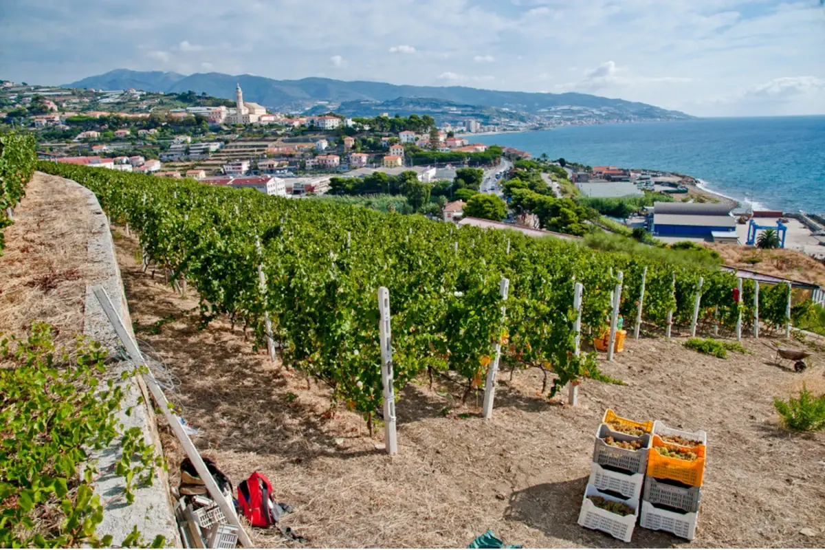 CantineDOC Liguria: il libro che racconta tutte le cantine della regione