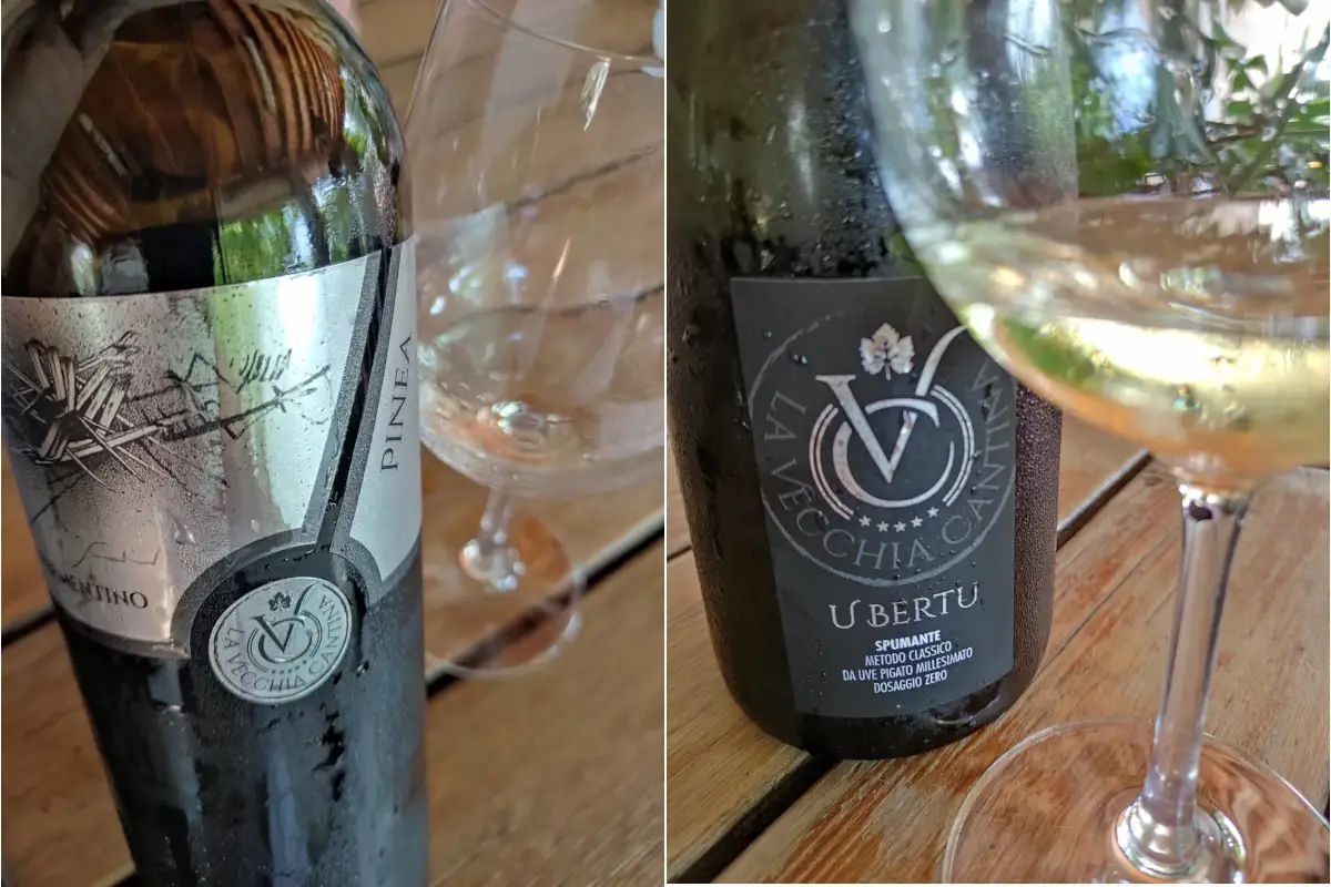 Il Vermentino e il Pigato Vite in Riviera e quel tesoro chiamato Pigato: cos&igrave; sfida il Vermentino