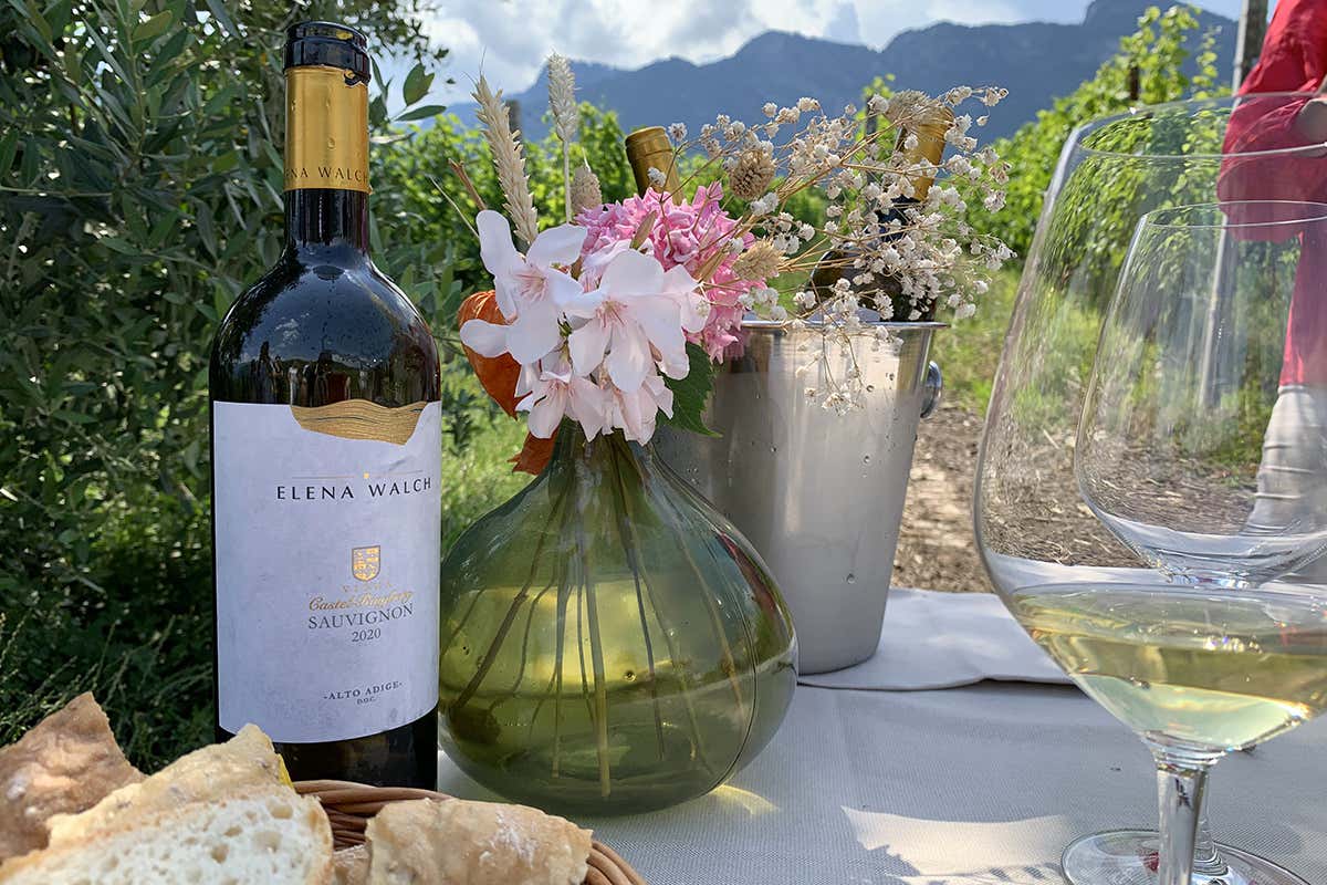 La natura fa il proprio corso il più possibile in casa Walch Elena Walch: la sostenibilità non si improvvisa La natura fa il proprio corso il più possibile in casa Walch Elena Walch: la sostenibilità non si improvvisa