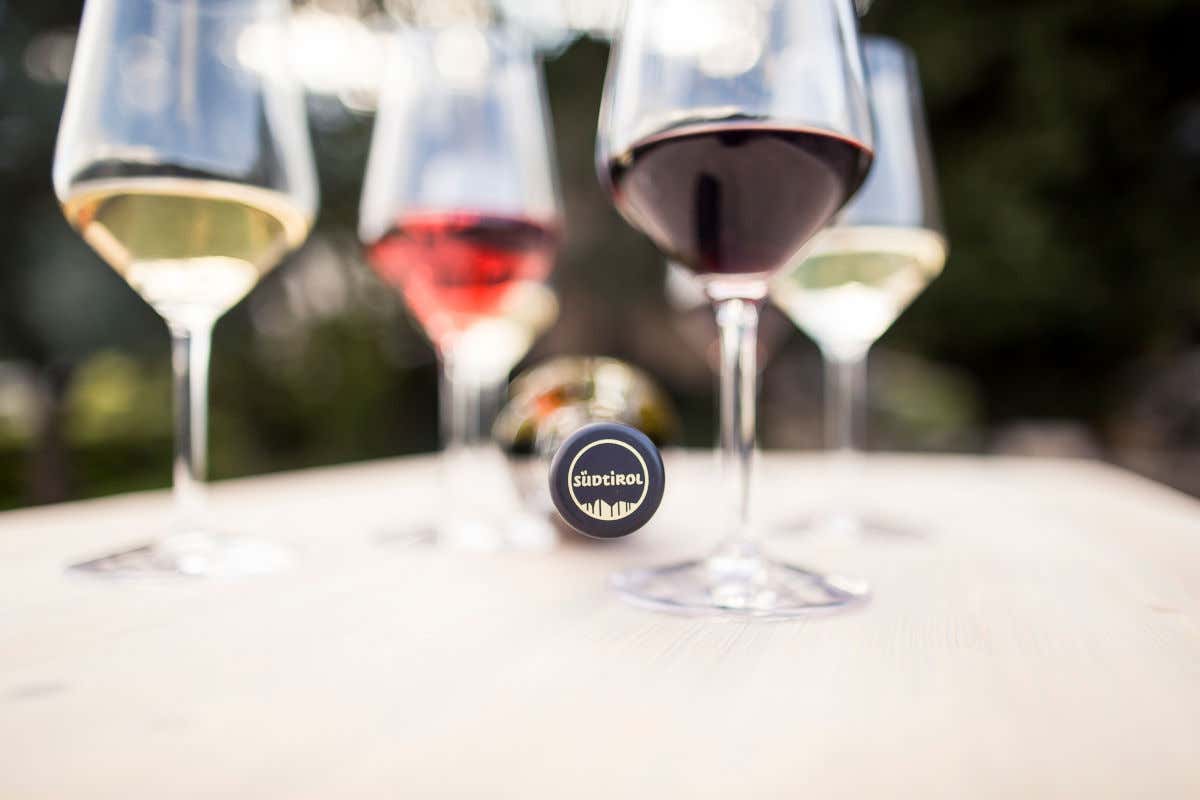 Le guide enologiche più prestigiose premiano i vini dell'Alto Adige