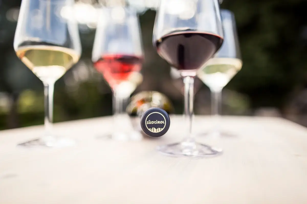 Le guide enologiche pi&ugrave; prestigiose premiano i vini dell'Alto Adige