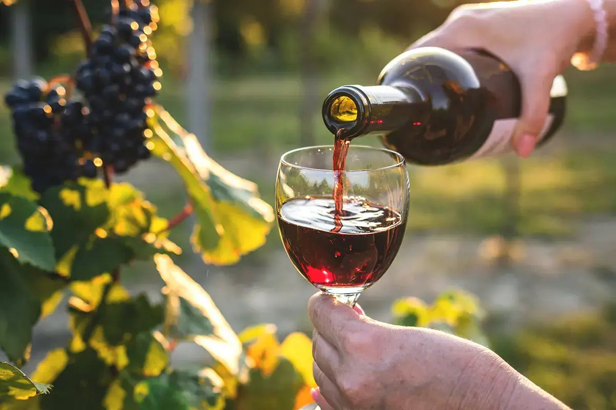 Proposta Vini amplia la sede e allarga l'orizzonte europeo