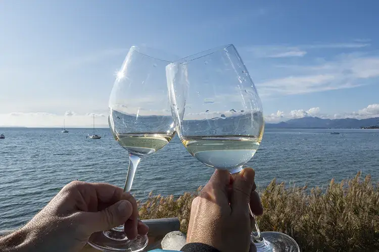Il vino lombardo riparte dal territorio I vini lombardi crescono grazie a sostenibiit&agrave; e valorizzazione del territorio