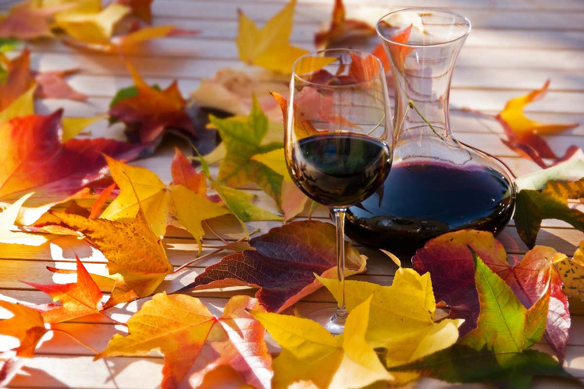 Consorzi del vino: meno rese, più valore. Come cambia il modello produttivo italiano Consorzi del vino: meno rese, più valore. Come cambia il modello produttivo italiano