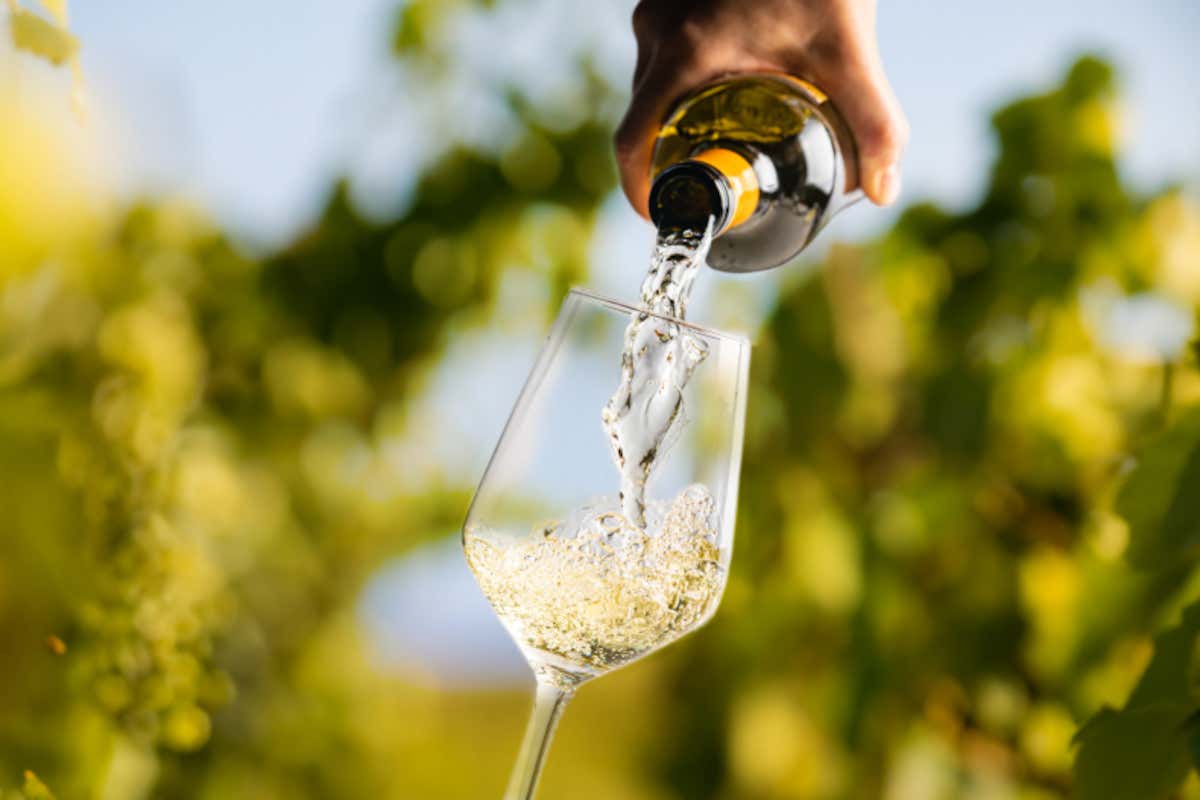 Tramonto DiVino 2024: il meglio dell’Emilia-Romagna del gusto in 7 tappe