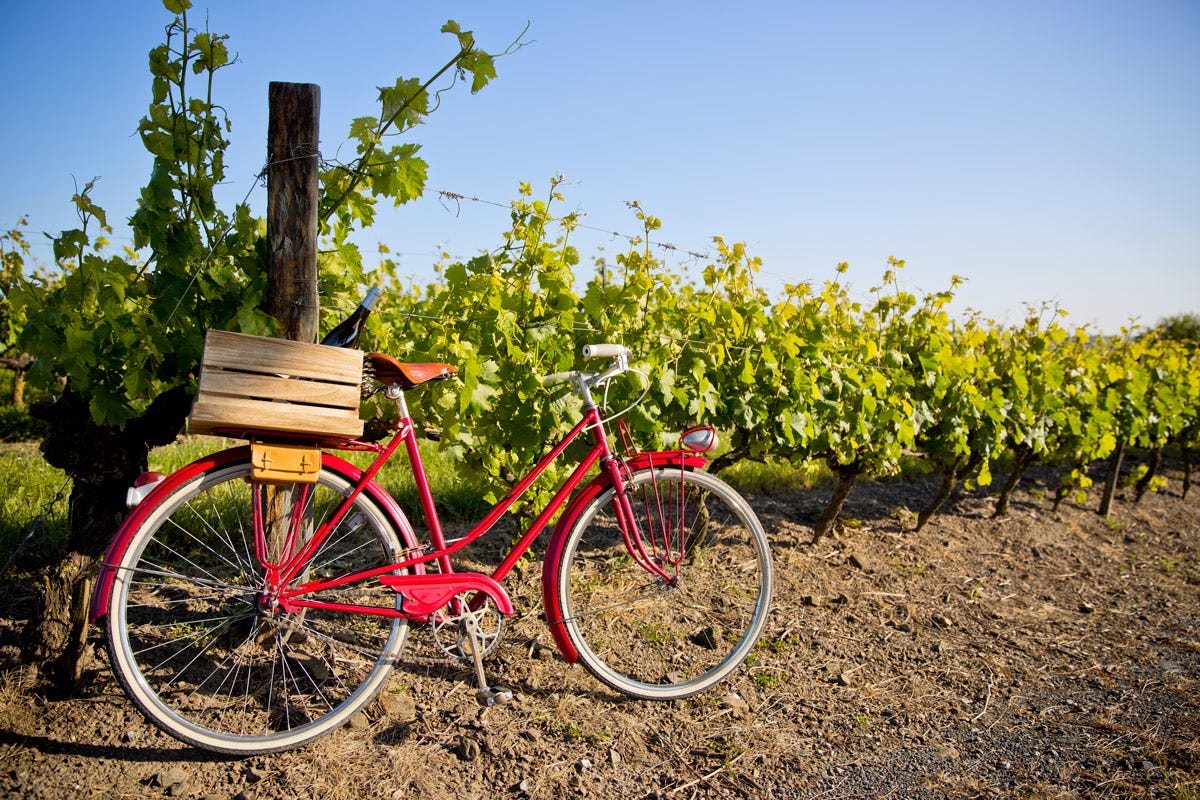  In Oltrepò Pavese c’è una storia di biciclette e di cantine tutta da raccontare, una storia di turismo e di esperienza turistica lenta Oltrepò Pavese dove il vino va a braccetto con la bicicletta