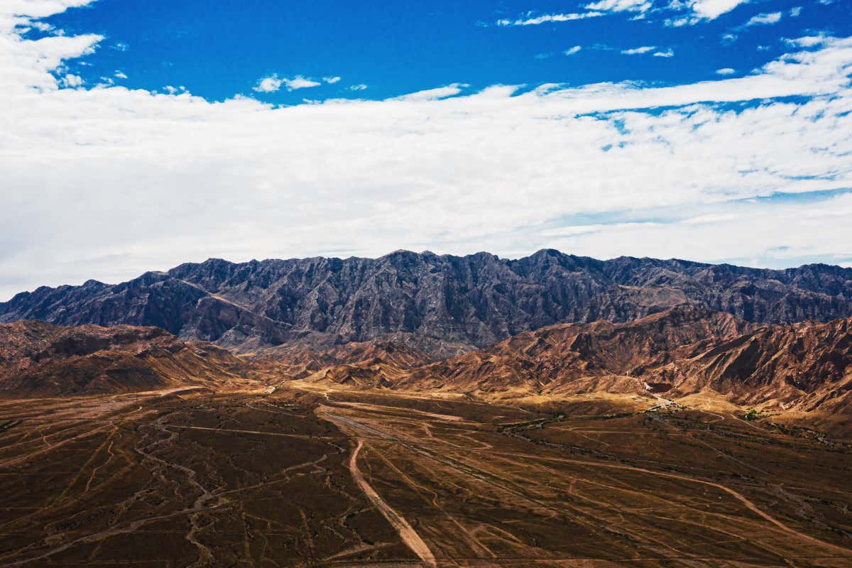 Tutto pronto per il Capodanno cinese, ma in Italia manca il vino... cinese