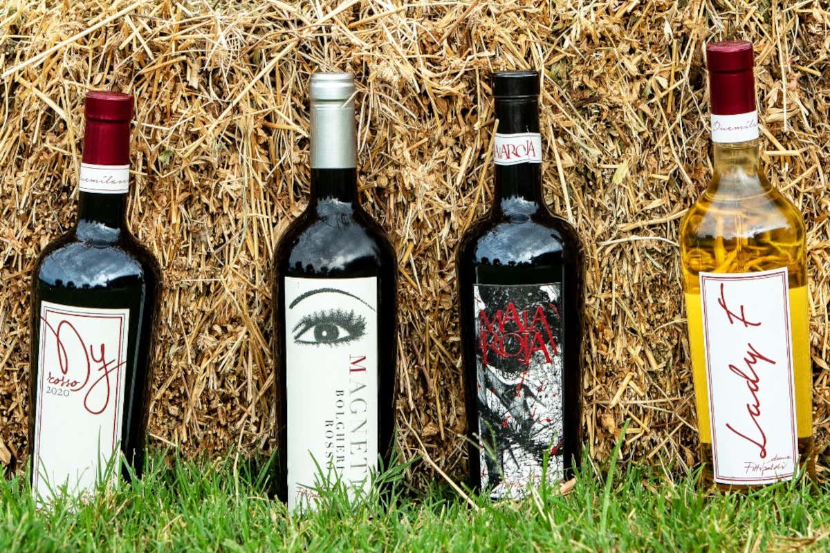 Bolgheri al femminile: l'impronta di Maria Fittipaldi Menarini nel mondo del vino Bolgheri al femminile: l'impronta di Maria Fittipaldi Menarini nel mondo del vino