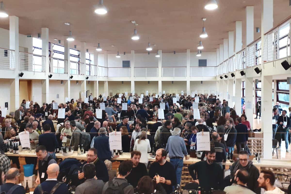 Vino In-dipendente 2024: «Un invito a bere meglio» Vino In-dipendente 2024: «Un invito a bere meglio»