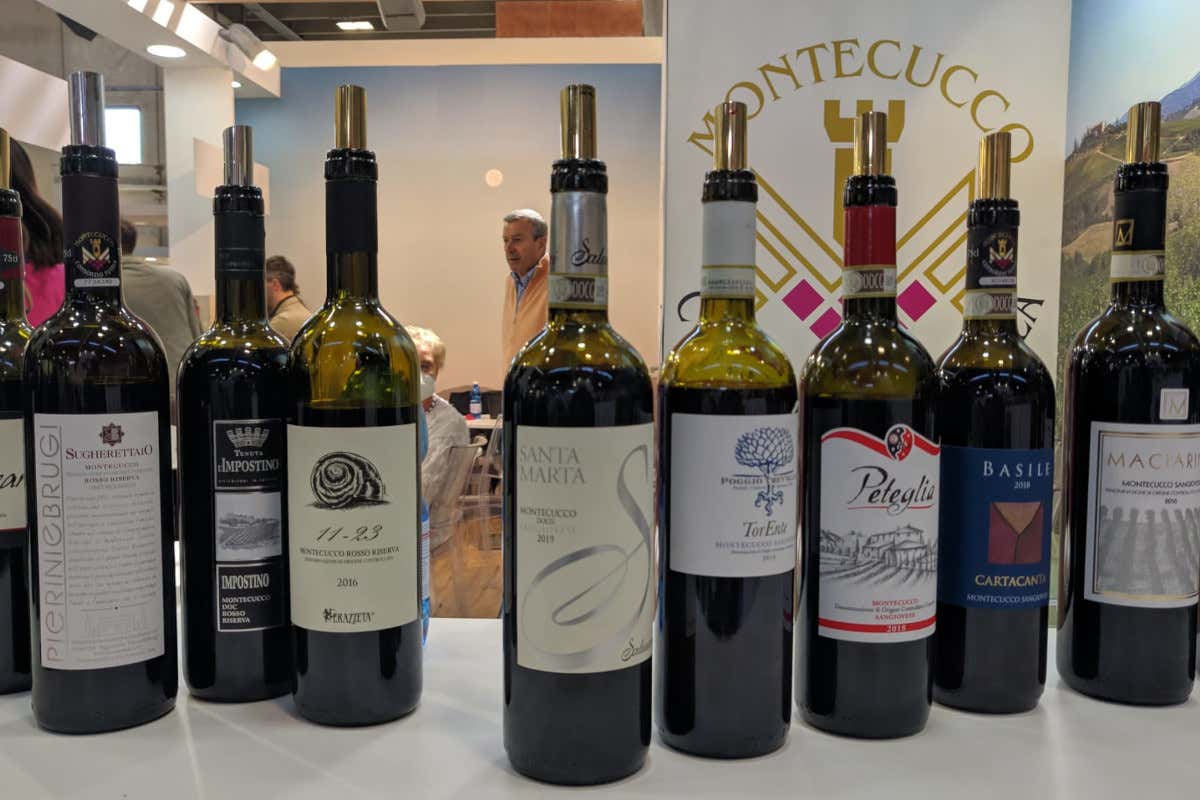 Vini Montecucco, un Sangiovese che vuole crescere Vini Montecucco, un Sangiovese che vuole crescere