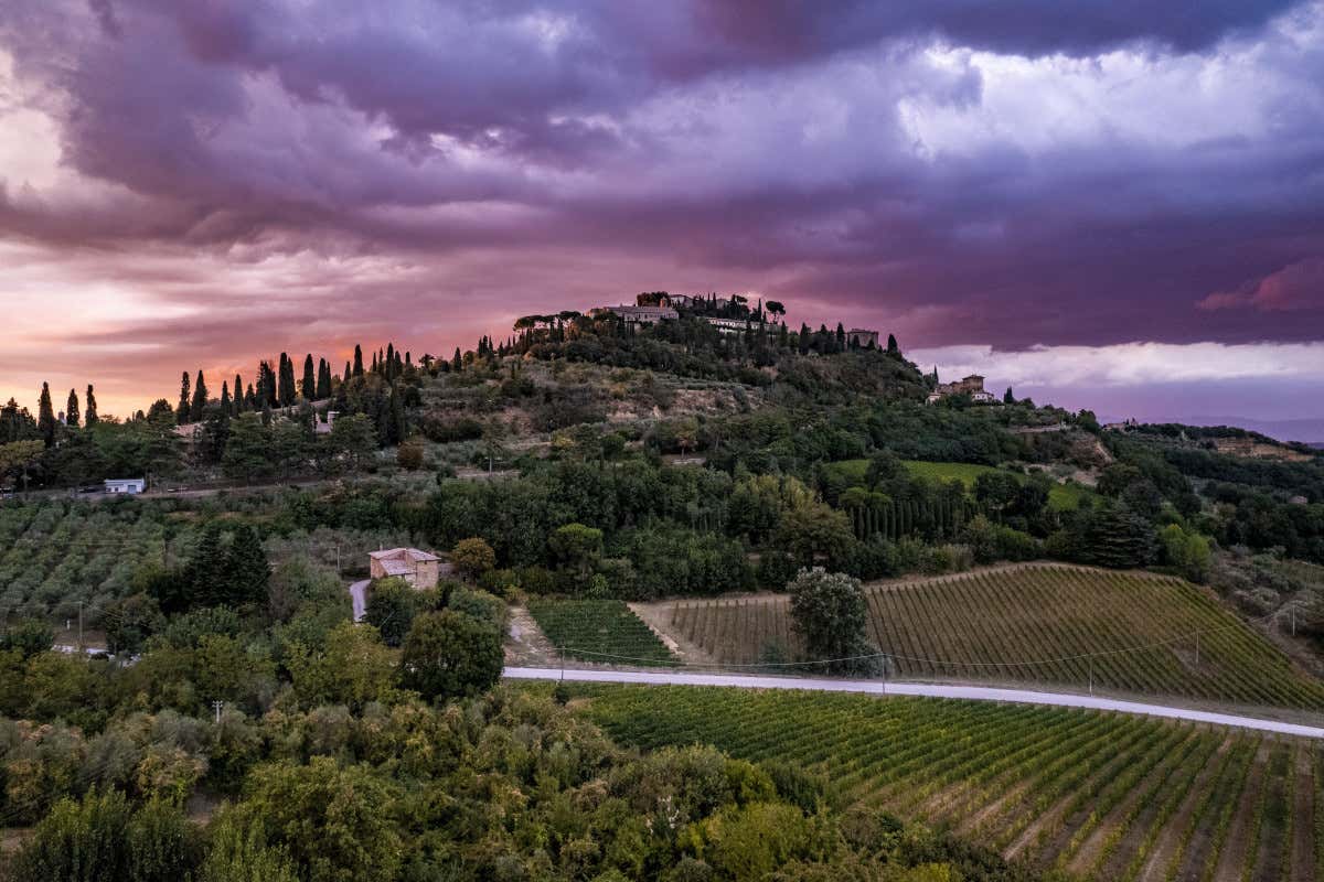 Vino nobile Montepulciano: il progetto “Le Pievi” muove i primi passi