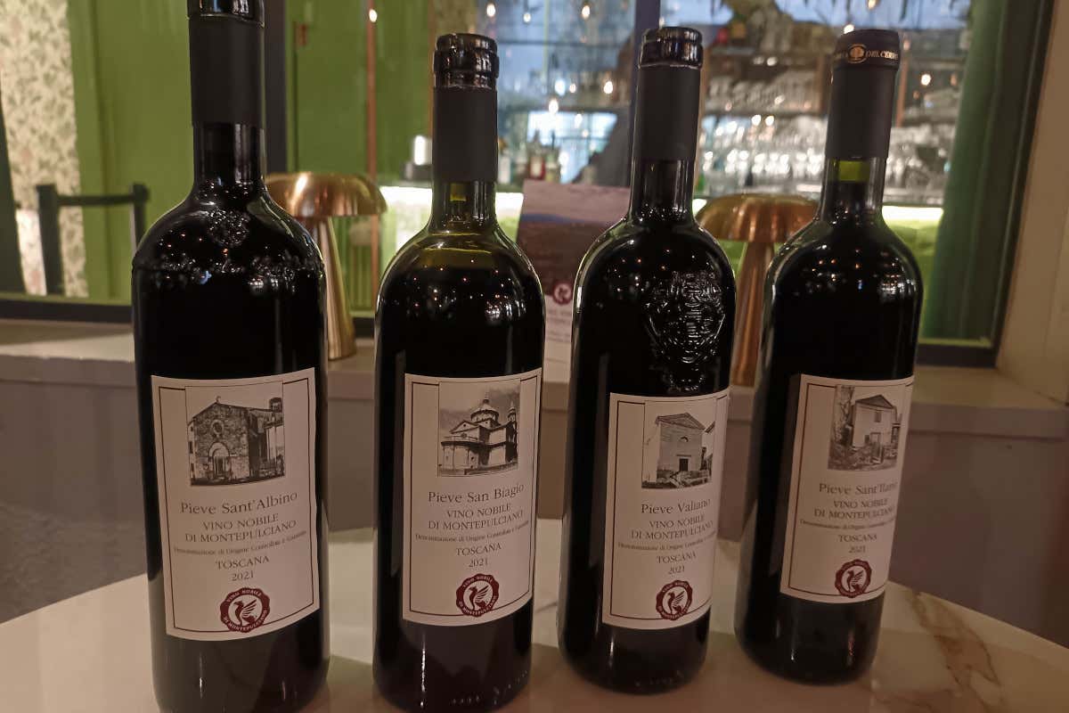 Vino nobile Montepulciano: il progetto “Le Pievi” muove i primi passi