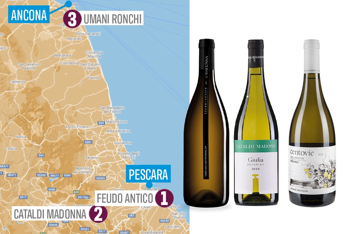 £$L'Italia del vino:$£ il Pecorino, la riscoperta di un vino sorprendente