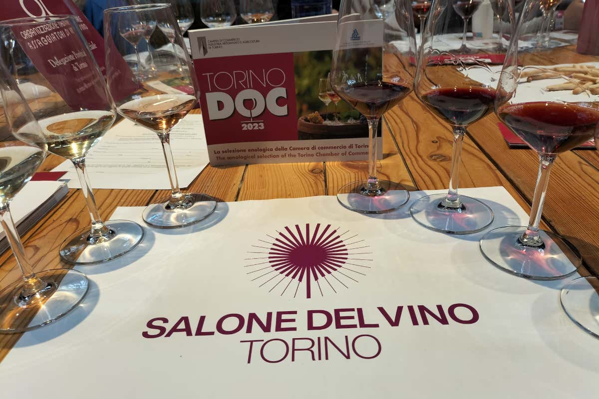 Salone del vino di Torino 2024: riflettori su giovani e viticoltura eroica Salone del vino di Torino 2024: riflettori su giovani e viticoltura eroica