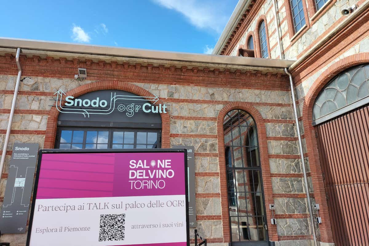 Salone del vino di Torino 2024: riflettori su giovani e viticoltura eroica Salone del vino di Torino 2024: riflettori su giovani e viticoltura eroica