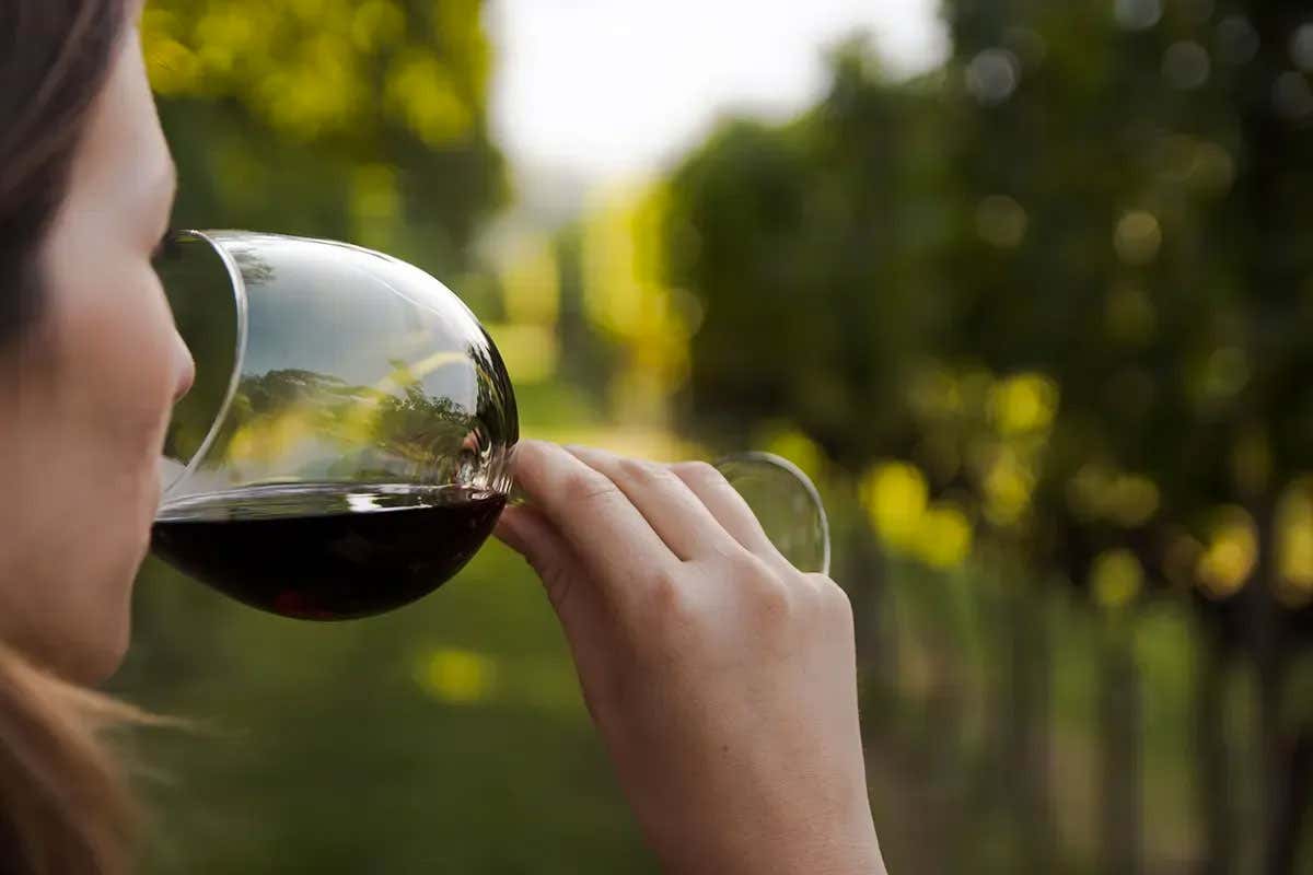 Il vino rosso è il preferito in assoluto da tutto il campione preso in esame Pasqua Vini guarda al futuro con gli occhi dei giovani