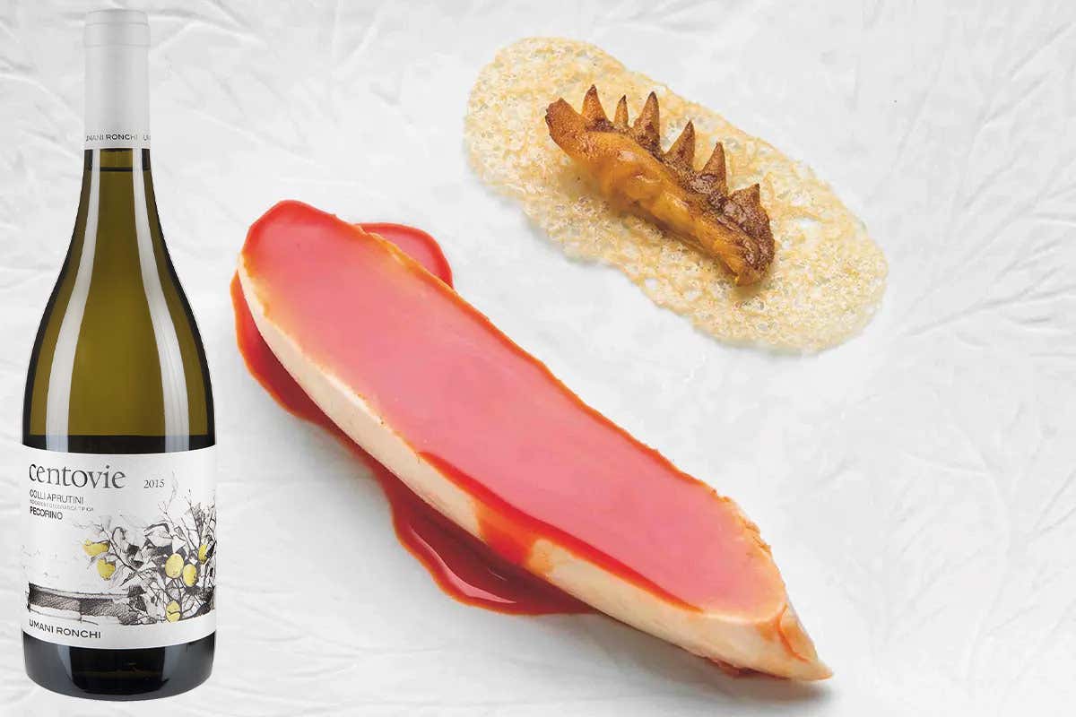 £$L'Italia del vino:$£ il Pecorino, la riscoperta di un vino sorprendente £$L'Italia del vino:$£ il Pecorino, la riscoperta di un vino sorprendente