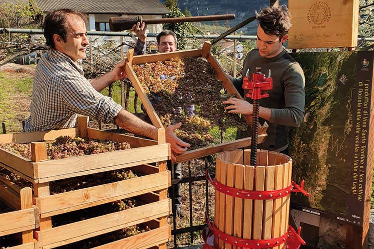 Rinnovato l'antico rito pasquale del Vino Santo del Trentino Rinnovato l'antico rito pasquale del Vino Santo del Trentino
