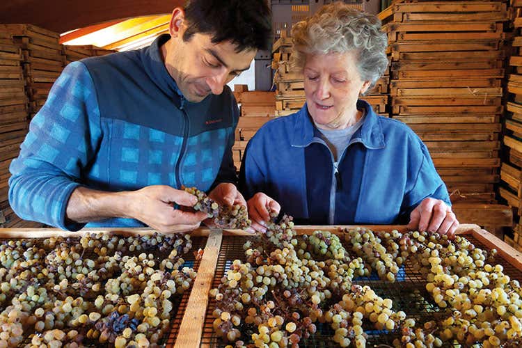 Rinnovato l'antico rito pasquale del Vino Santo del Trentino Rinnovato l'antico rito pasquale del Vino Santo del Trentino