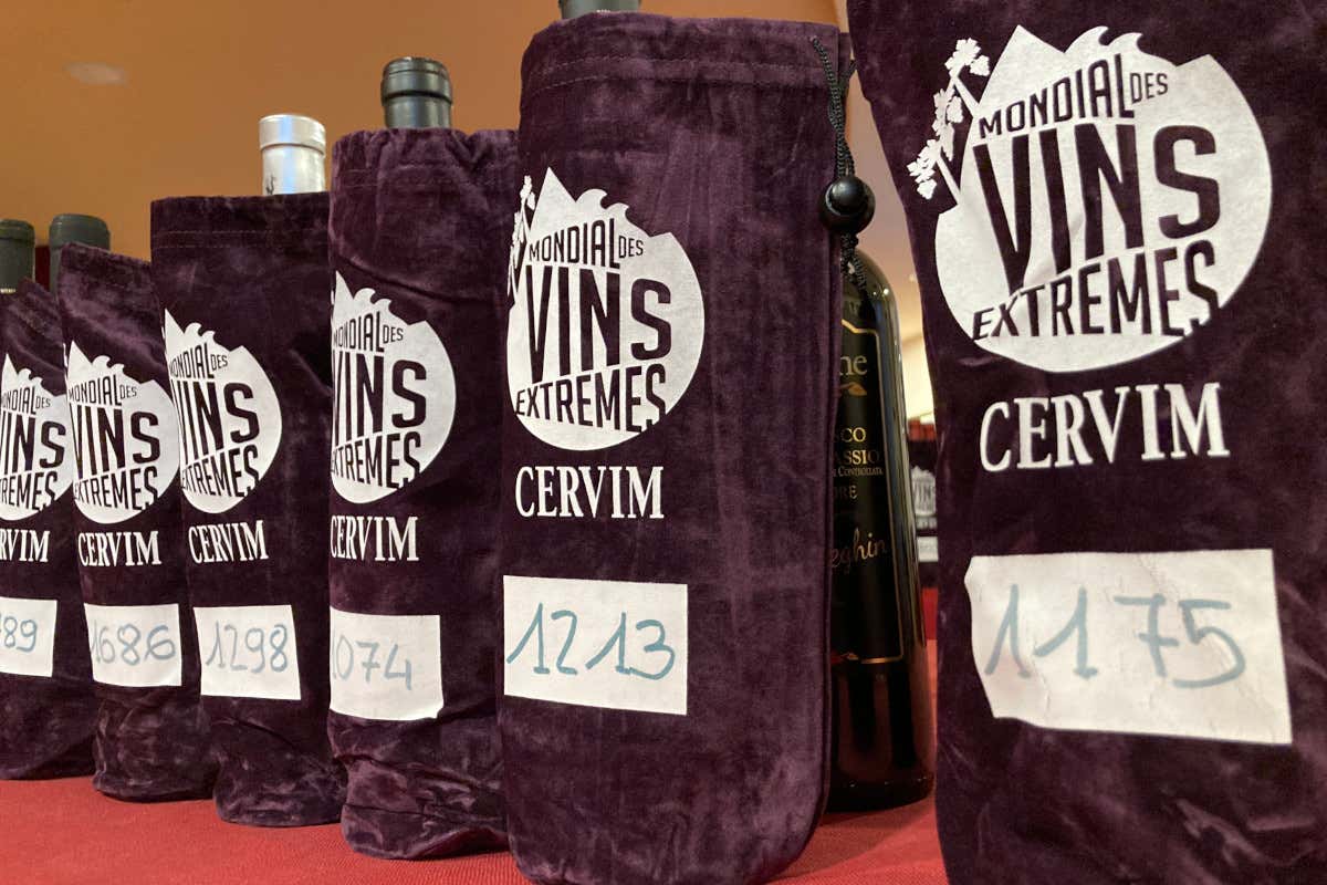 Vini eroici in gara al Mondial des Vins Extrêmes 2024: ecco dove e quando