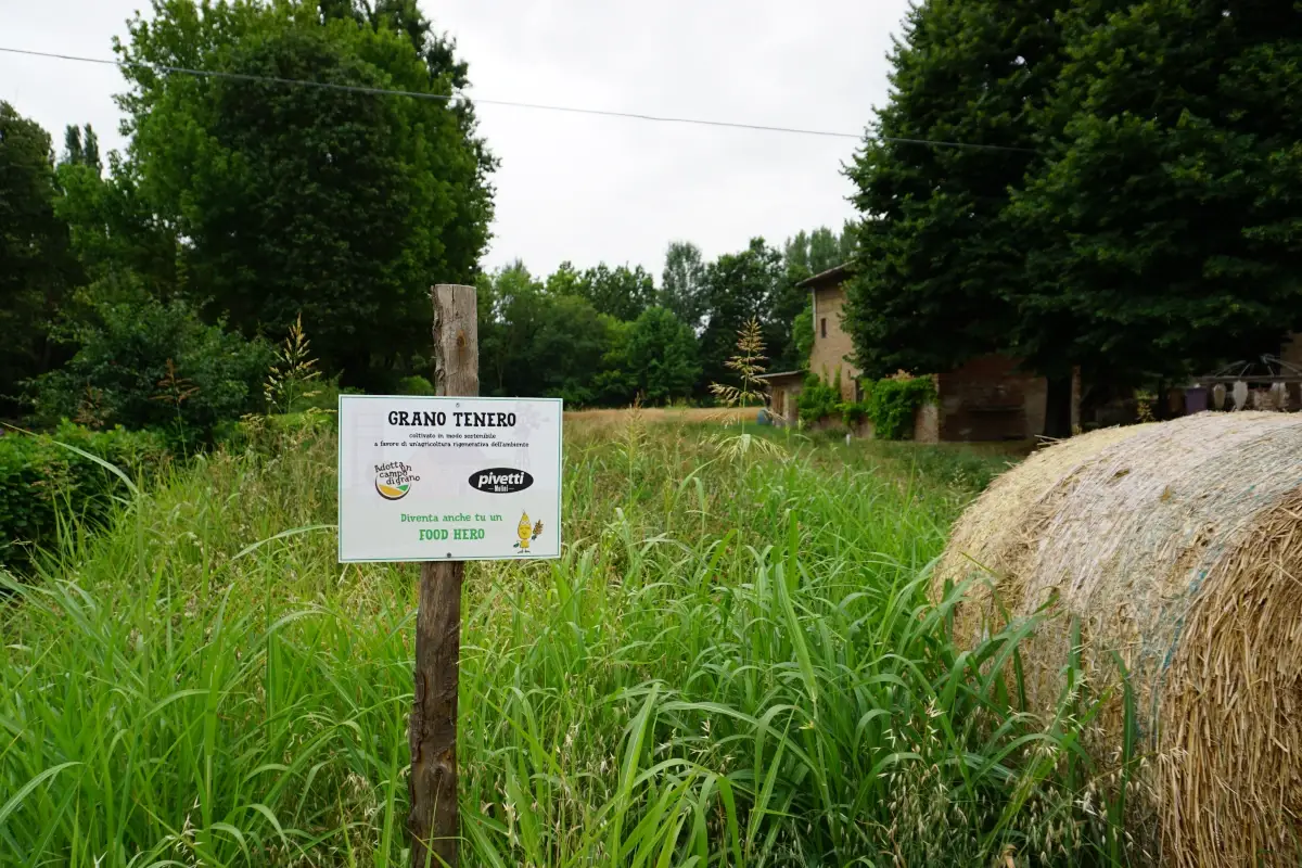 Adotta un campo: l'ingresso del terreno utilizzato per il progetto  Agricoltura, territorio, responsabilità e squadra: i pilastri di Molini Pivetti