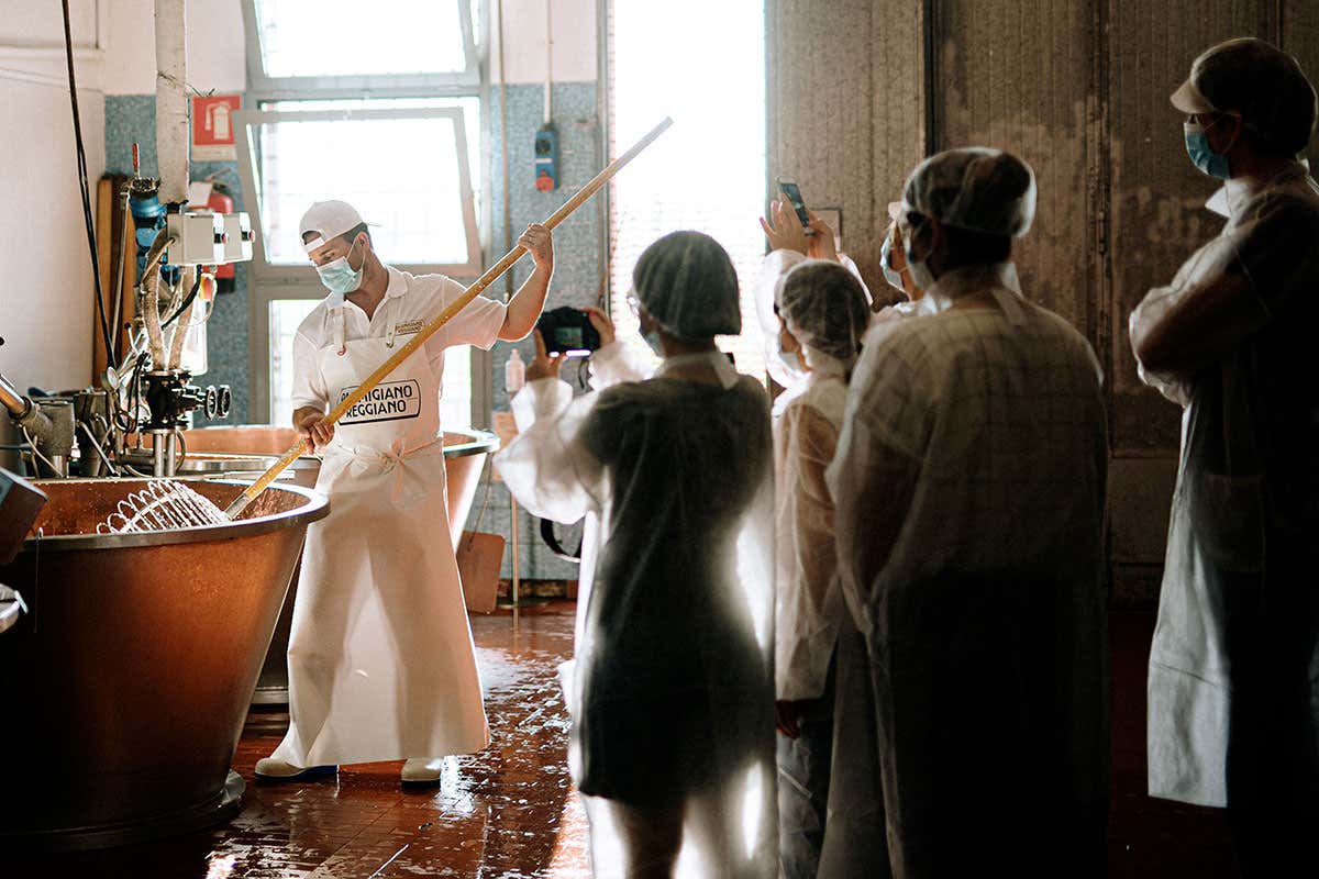 Parmigiano Reggiano, l’Accademia in campo per formare chi lo serve Parmigiano Reggiano, l’Accademia in campo per formare chi lo serve