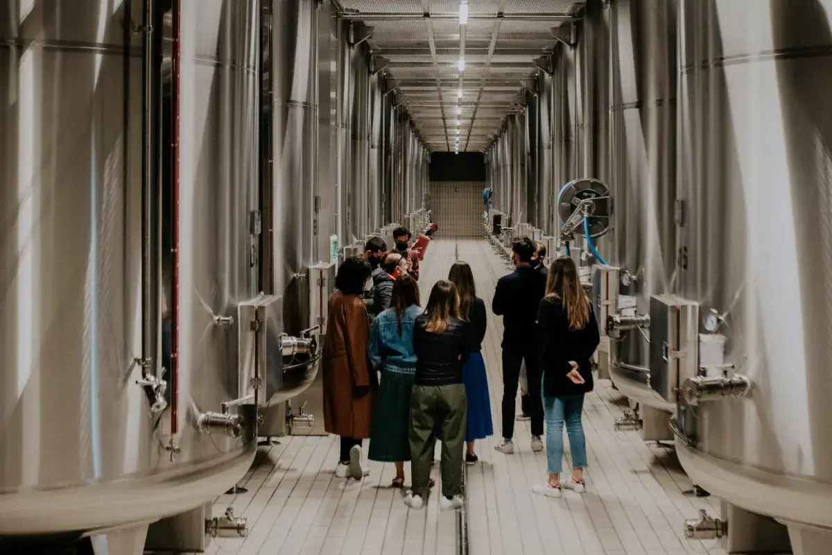 Visite guidate in cantina Lugana, da Cà Maiol esperienze sensoriali tra vino e natura