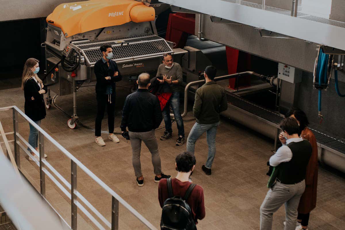 Visite guidate in cantina Lugana, da Cà Maiol esperienze sensoriali tra vino e natura