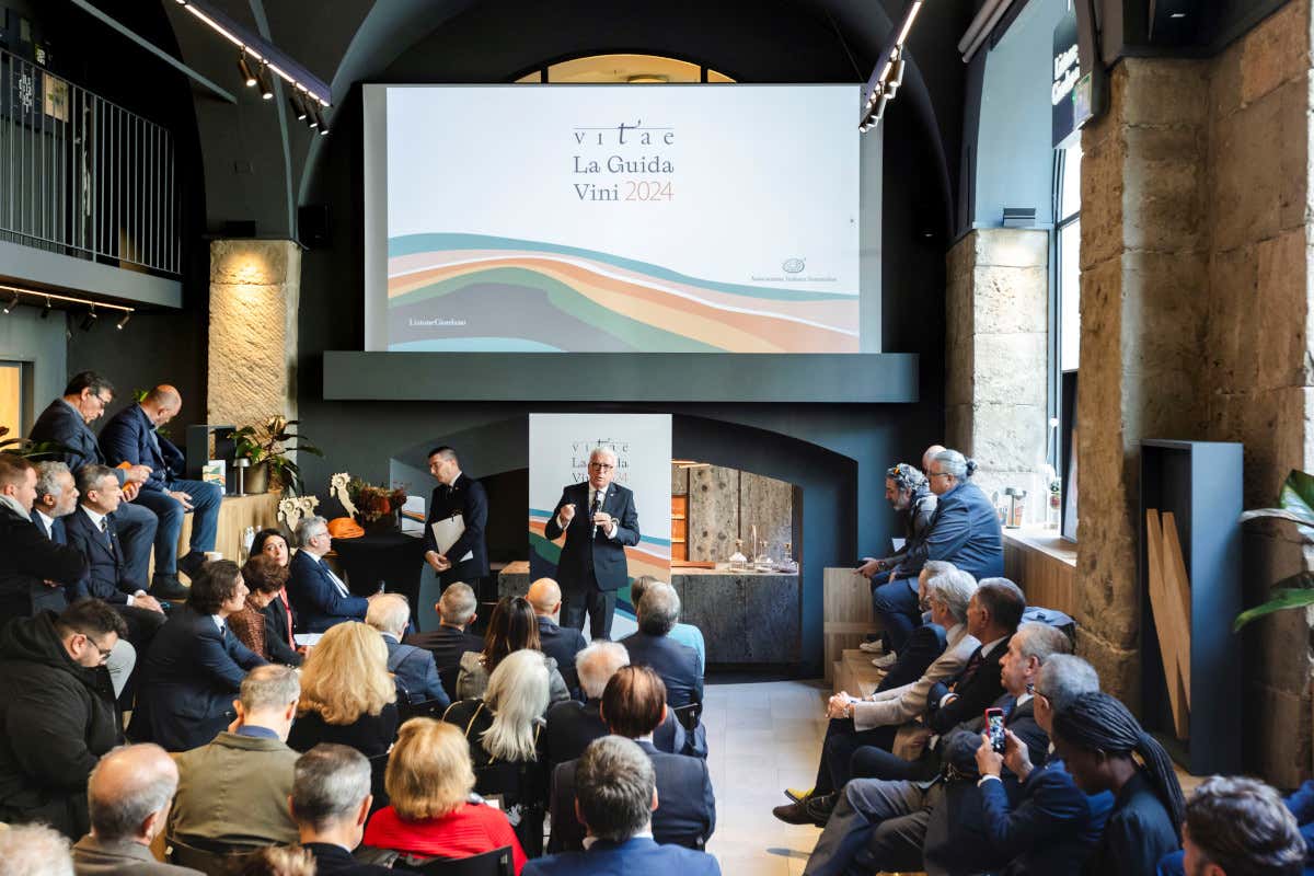 Vitae 2024, ecco tutti i vini selezionati dall'Associazione italiana sommelier  Vitae 2024, ecco tutti i vini selezionati dall'Associazione italiana sommelier