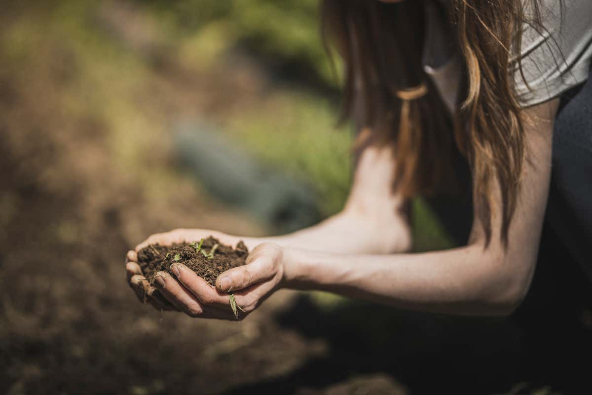 Vitalpina Hotels: 20 anni di vacanze attive tra natura e benessere in Alto Adige Vitalpina Hotels: 20 anni di vacanze attive tra natura e benessere in Alto Adige