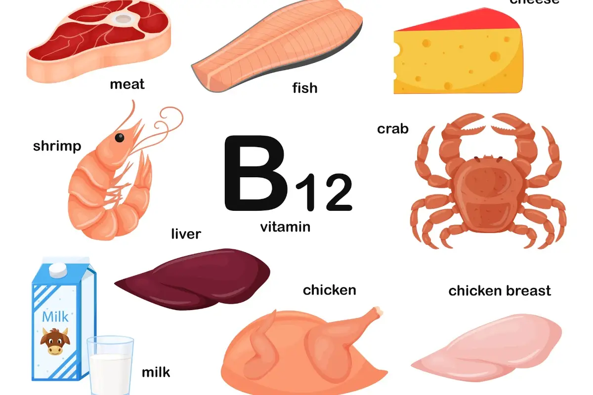 Che cos’è la vitamina B12 e quando va integrata?