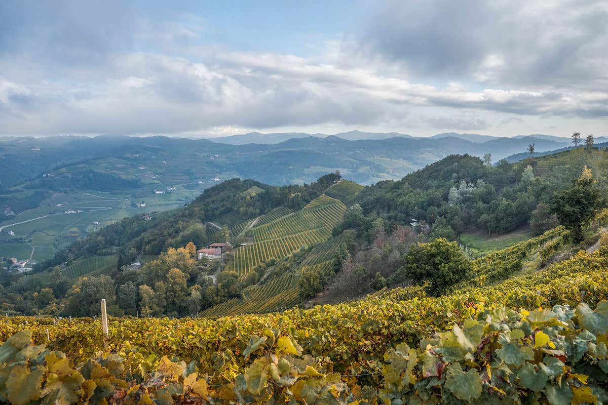 L’aperitivo cambia volto: Italia a Tavola racconta i locali che fanno la differenza