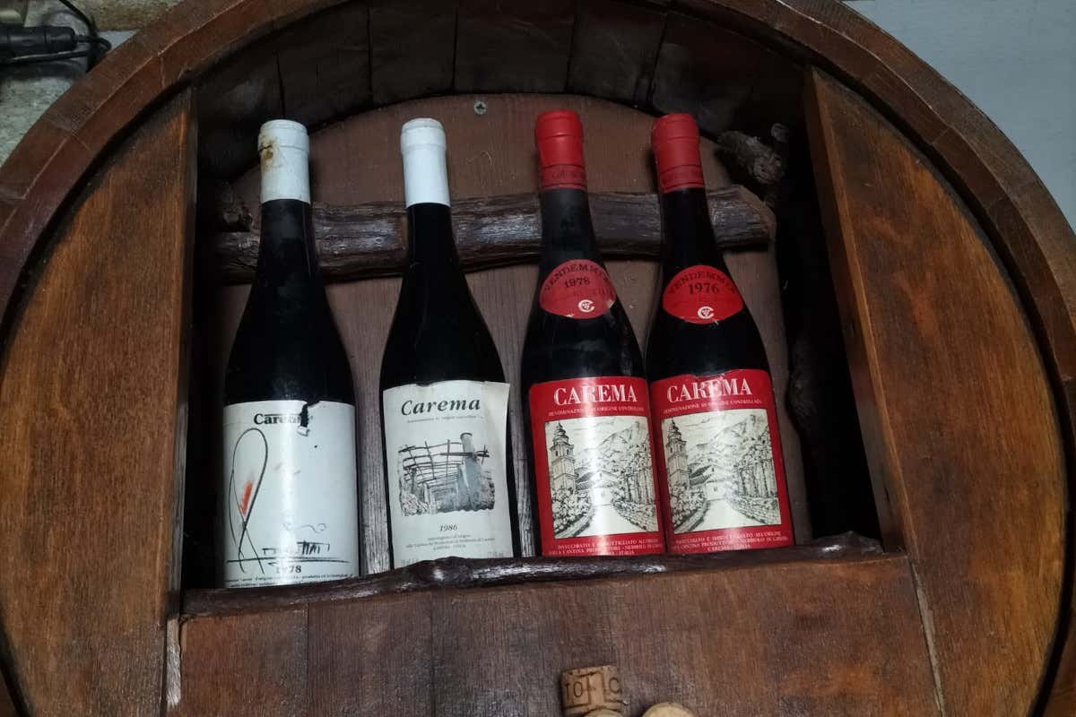 Viticoltura eroica: così il Nebbiolo sfida il clima tra i terrazzamenti dell’Alto Canavese